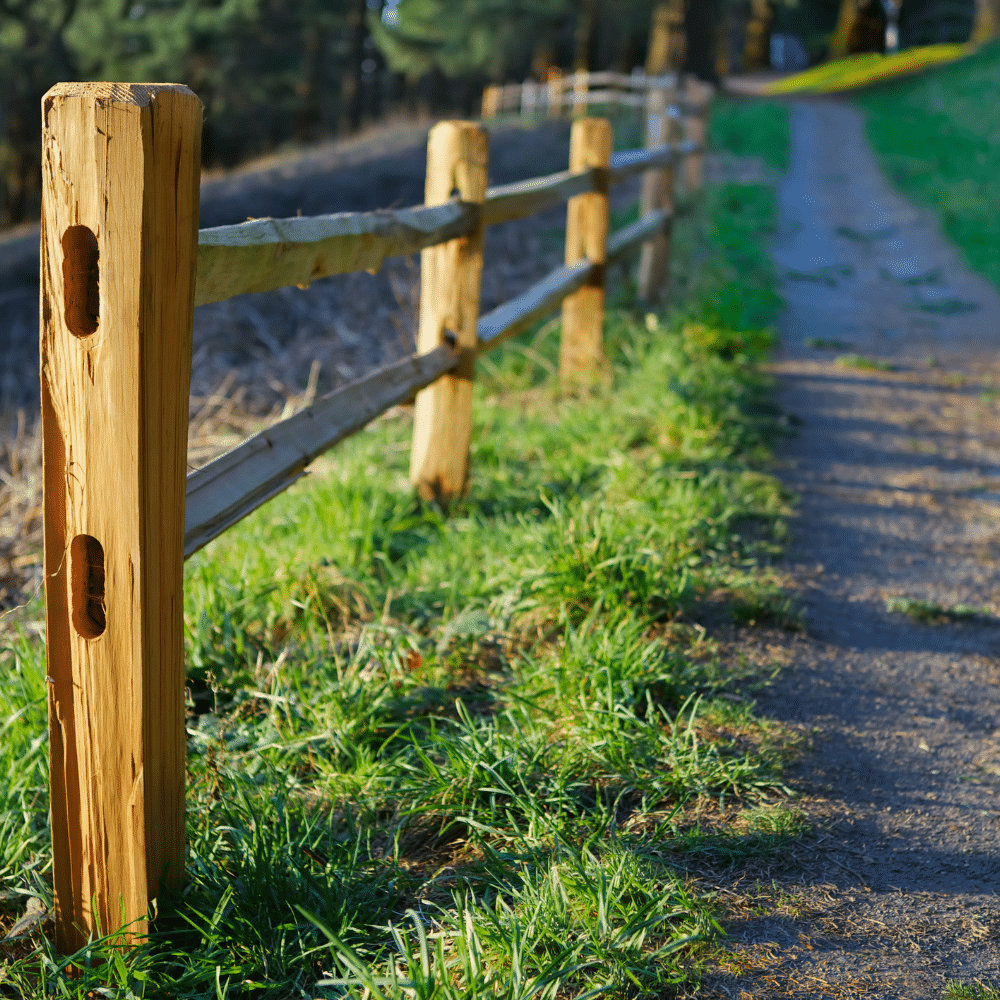 fate texas rail fence