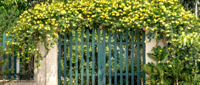 Custom Walk Gates